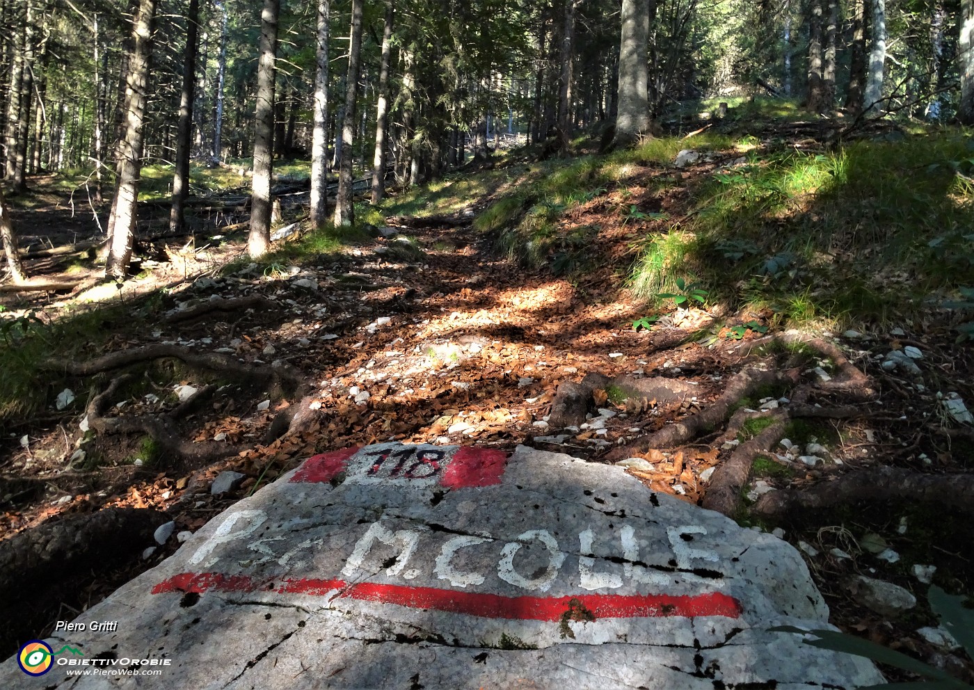 88 Sono sceso dal sent. 118 del Passo di Monte Colle.JPG